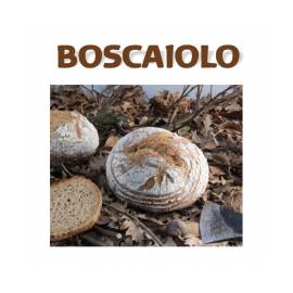 boscaiolo - base per pane alla segale,soia e semi vari