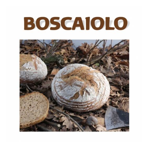 Boscaiolo - base per pane alla segale,soia e semi vari