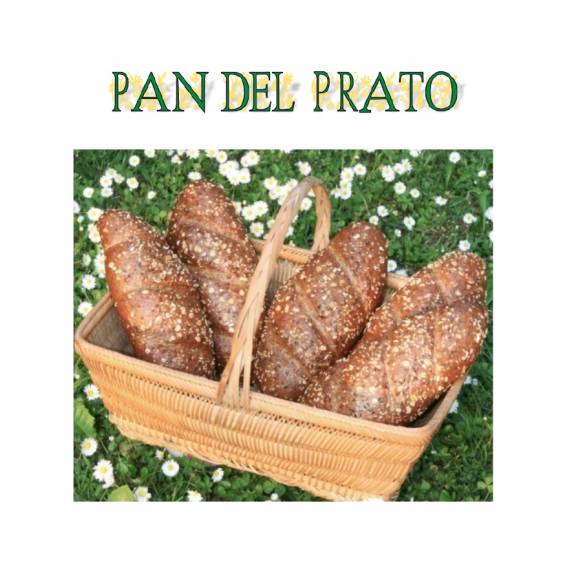Pan del Prato - per pane ai cereali integrali