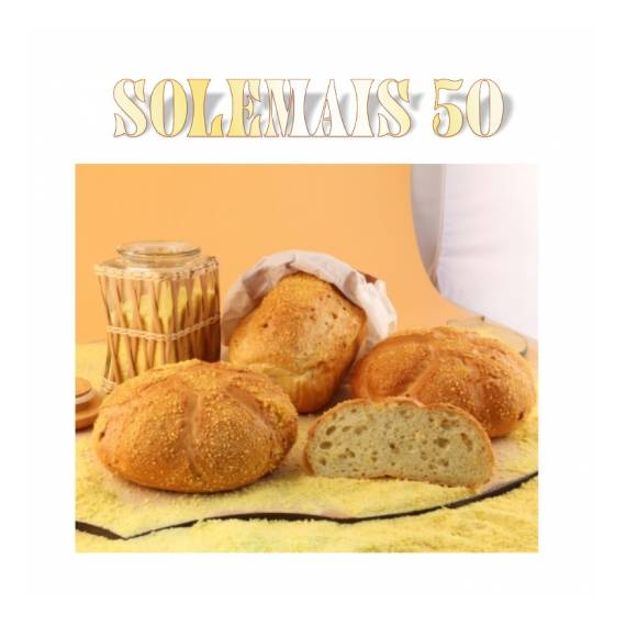 Solemais 50 - nucleo al 50% per pane al mais e semi di girasole